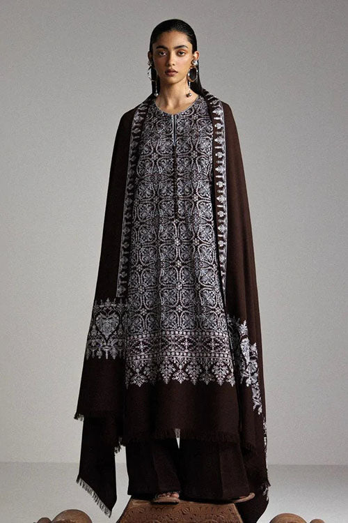 Zara Shahjahan Saraab Winter Collection 2026 - AQEEQ-D1