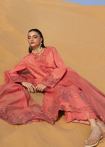 Rang Rasiya - Premium Summer Collection 2026 - D-01