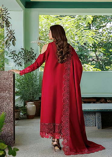 Asifaand Nabeel Plush Luxury Winter Collection 2026 - WLXU-04