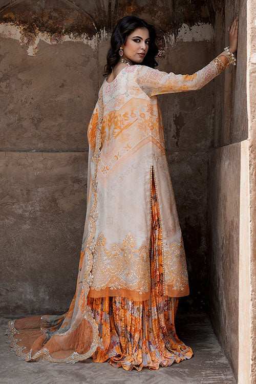 Charizma Vasal Chiffon Collection 2026 Vol-1 - Vslw6-06