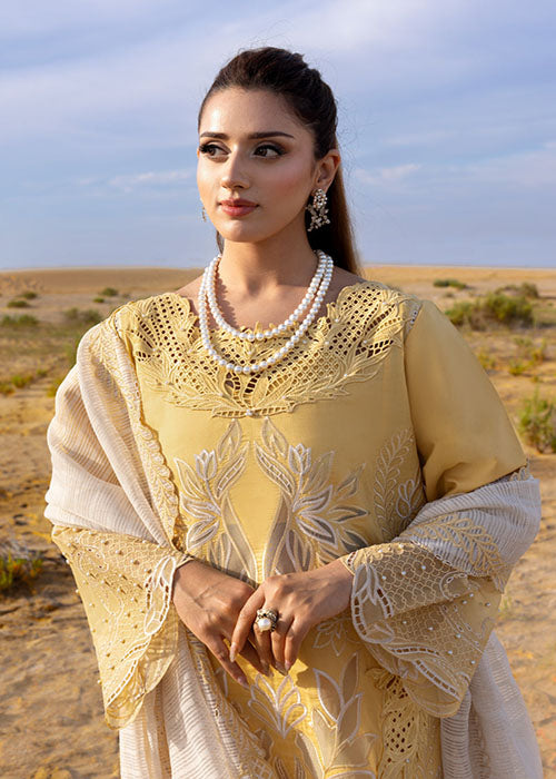 Rang Rasiya - Premium Summer Collection 2026 - D-06