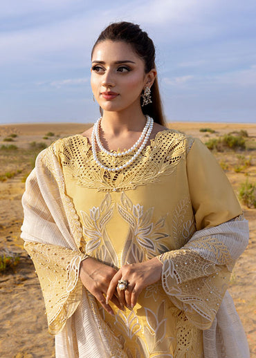 Rang Rasiya - Premium Summer Collection 2026 - D-06