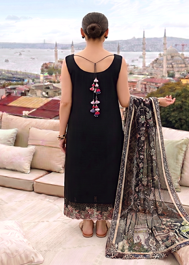 Asifaand Nabeel Summer Lawn Collection 2026 - SL26-08