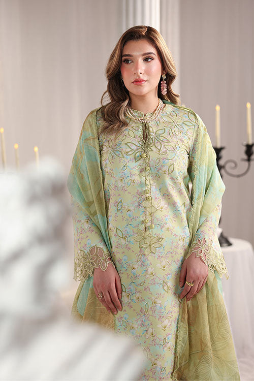 Rang Rasiya Nova Summer Embroidered Collection 2026 - D09