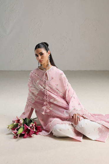 Qalamkar - Qprints Drop Collection Vol2. 2026 - 02A
