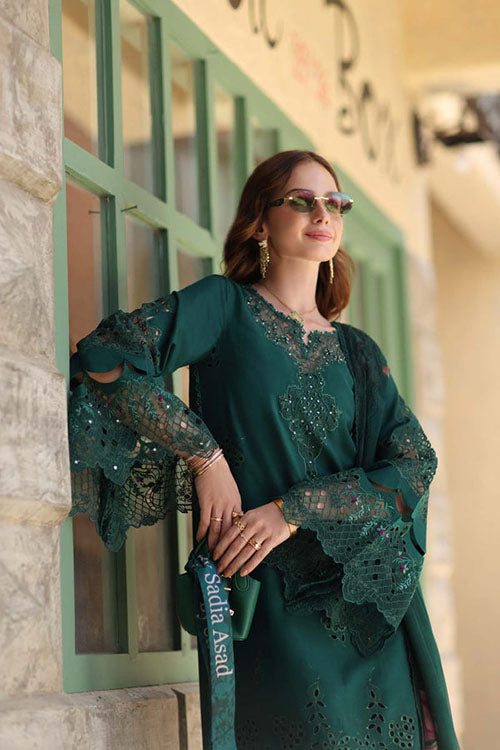 Noor Luxe Chikankari Lawn Collection 2026 - D-6B