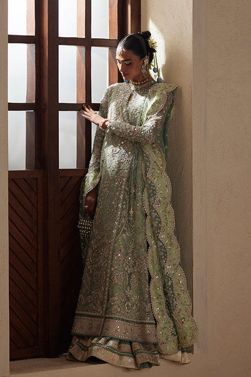 Suffuse freeshia Ready To Wear Collection 2026 - Nirvelle