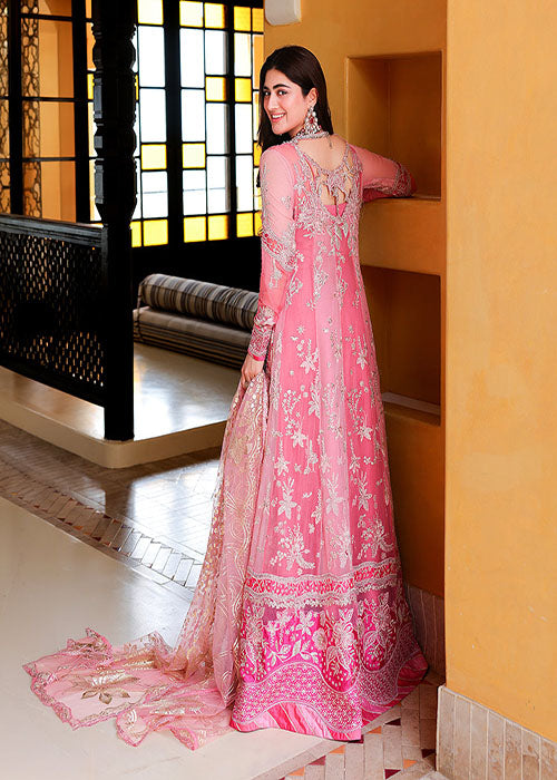 Mushq- Bachelorette Chronicles Chiffon Collection 2026 - Pink Promise