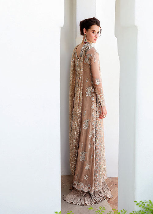 Mushq- Bachelorette Chronicles Chiffon Collection 2026 - Pretty Rebel