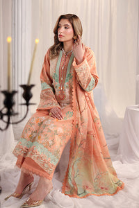 Rang Rasiya Nova Summer Embroidered Collection 2026 - D01