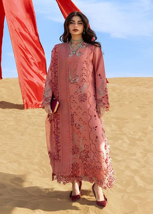 Rang Rasiya - Premium Summer Collection 2026 - D-03