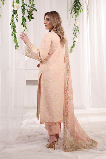 Rang Rasiya Nova Summer Embroidered Collection 2026 - D04