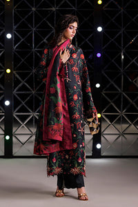 Rang Rasiya Luxe Silk Collection 2026 - D06
