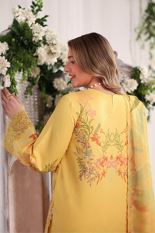 Rang Rasiya Nova Summer Embroidered Collection 2026 - D06