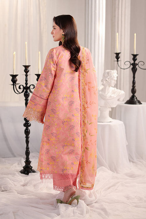 Rang Rasiya Nova Summer Embroidered Collection 2026 - D07