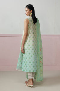 Qalamkar - Qprints Drop Collection Vol2. 2026 - 07B
