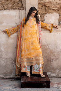 Charizma Vasal Chiffon Collection 2026 Vol-1 - Vslw6-09