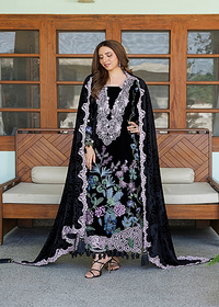 Asifaand Nabeel Plush Luxury Winter Collection 2026 - WLXU-09