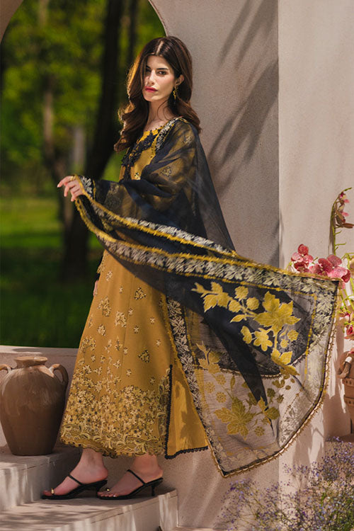 Rang Rasiya Luxury Eid Collection 2026 - D09