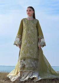 Rang Rasiya - Premium Summer Collection 2026 - D-11