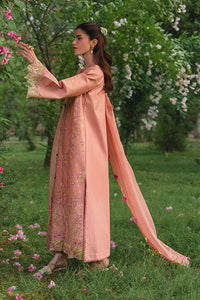Rang Rasiya Luxury Eid Collection 2026 - D11