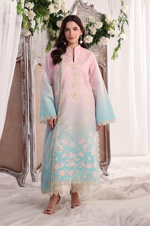 Rang Rasiya Nova Summer Embroidered Collection 2026 - D12