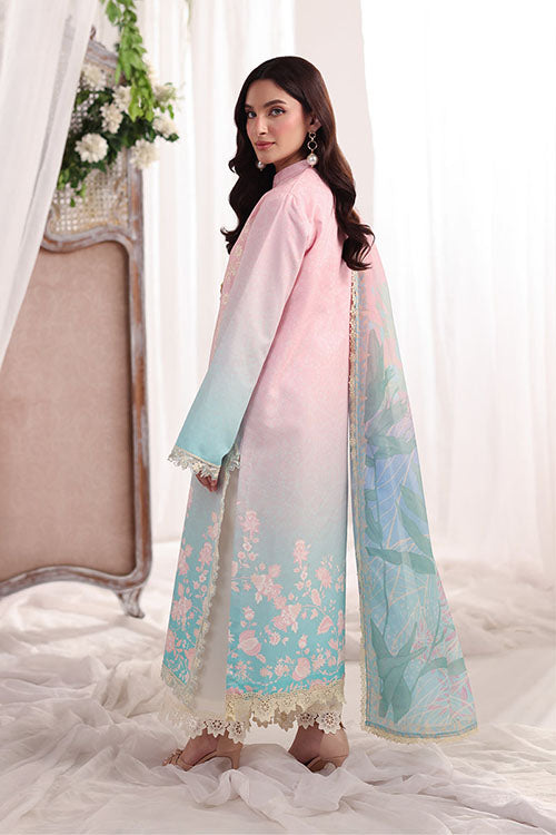 Rang Rasiya Nova Summer Embroidered Collection 2026 - D12