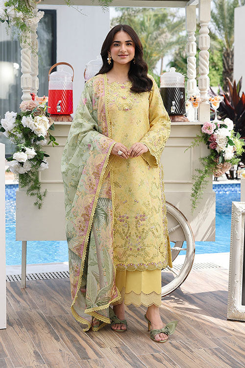 Rang Rasiya Florence Luxury Festive Collection 2026 - D13
