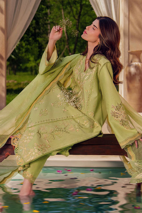 Rang Rasiya Luxury Eid Collection 2026 - D14