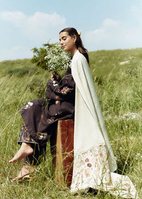 Coco By Zara Shahjahan Winter Collection 2024 -D2A