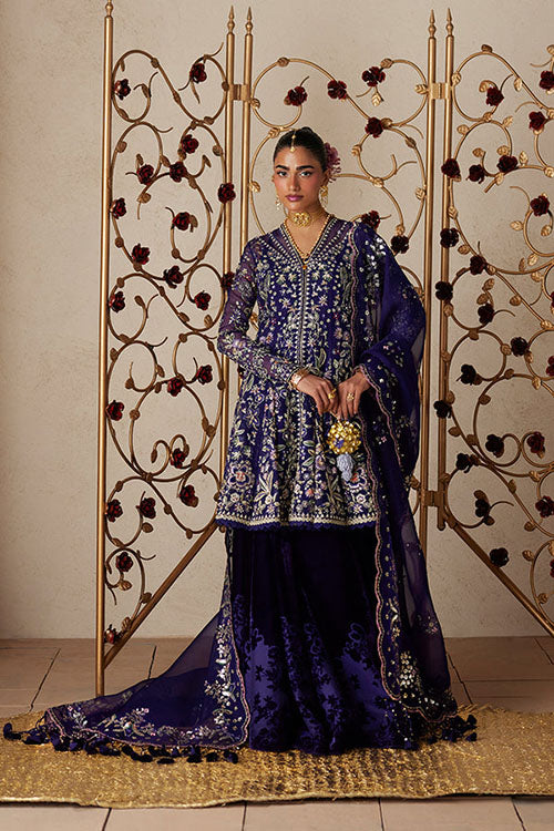 Suffuse freeshia Ready To Wear Collection 2026 - Anoush