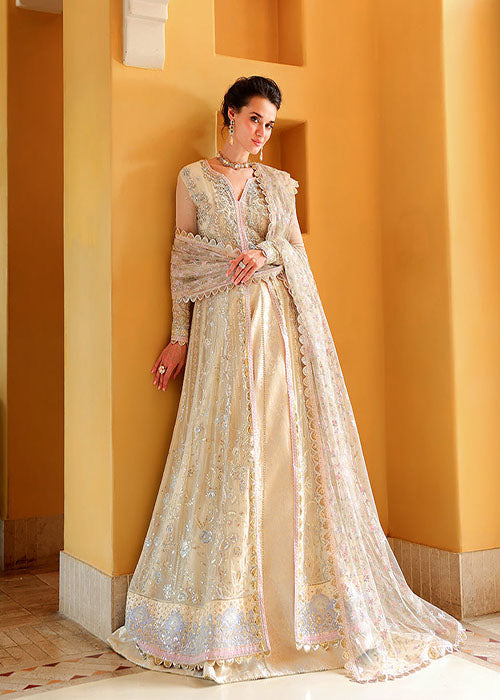 Mushq- Bachelorette Chronicles Chiffon Collection 2026 - Blush Hour