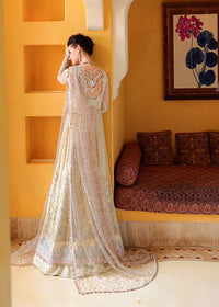 Mushq- Bachelorette Chronicles Chiffon Collection 2026 - Blush Hour