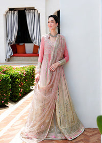 Mushq- Bachelorette Chronicles Chiffon Collection 2026 - Last Fling
