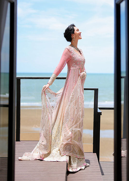 Mushq- Bachelorette Chronicles Chiffon Collection 2026 - Last Fling
