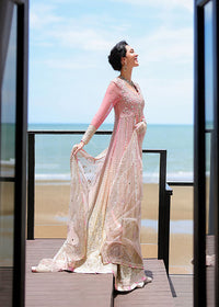 Mushq- Bachelorette Chronicles Chiffon Collection 2026 - Last Fling