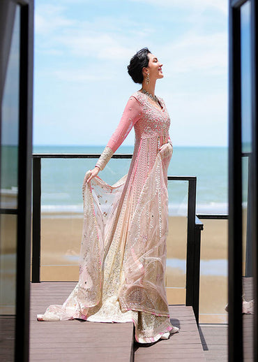 Mushq- Bachelorette Chronicles Chiffon Collection 2026 - Last Fling