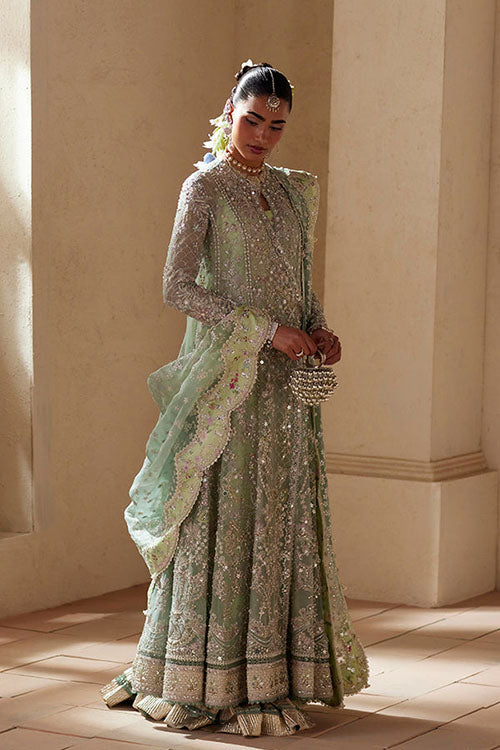 Suffuse freeshia Ready To Wear Collection 2026 - Nirvelle