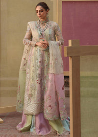 Crimson - Jhilmil Wedding  Collection 2026 - RANGOLI