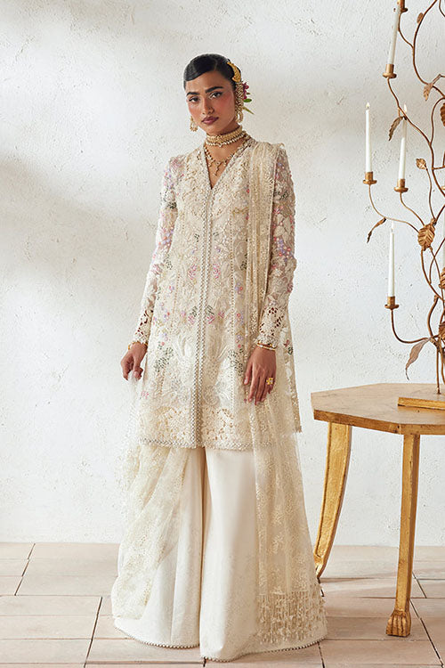 Suffuse freeshia Ready To Wear Collection 2026 - Rosha