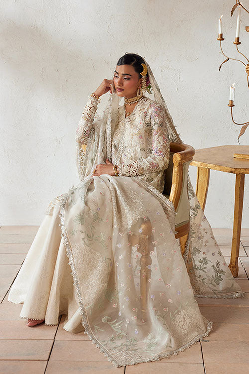 Suffuse freeshia Ready To Wear Collection 2026 - Rosha
