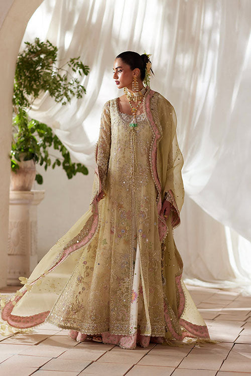 Suffuse freeshia Ready To Wear Collection 2026 - Silvia