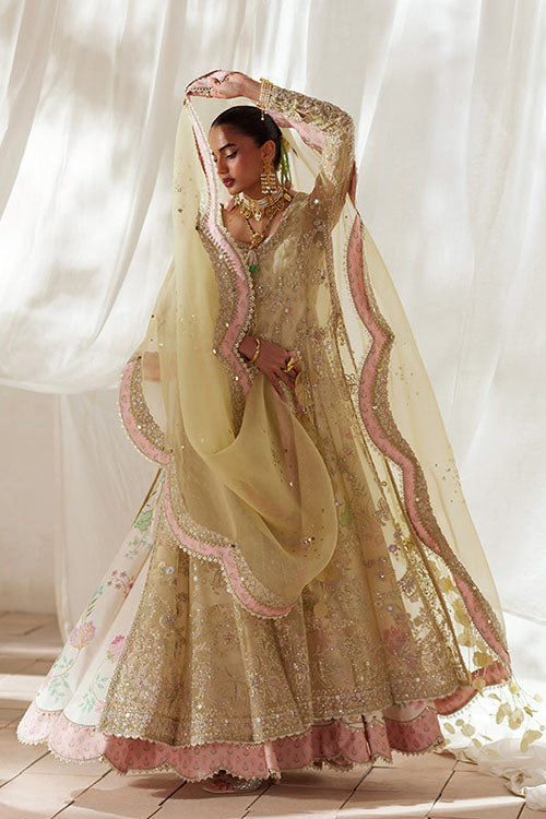 Suffuse freeshia Ready To Wear Collection 2026 - Silvia